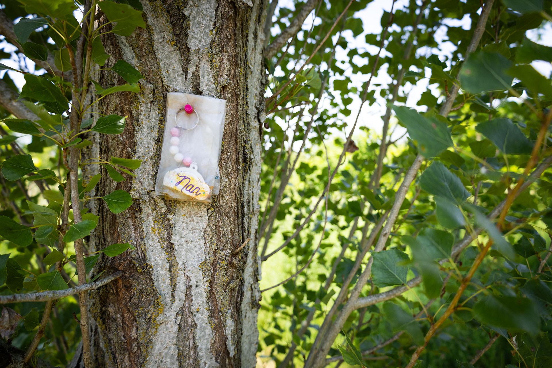 Deb Reed Celebrant Colchester Essex. A charm pinned to a tree at a funeral ashes internment.